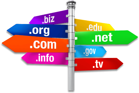 Domain Name Options